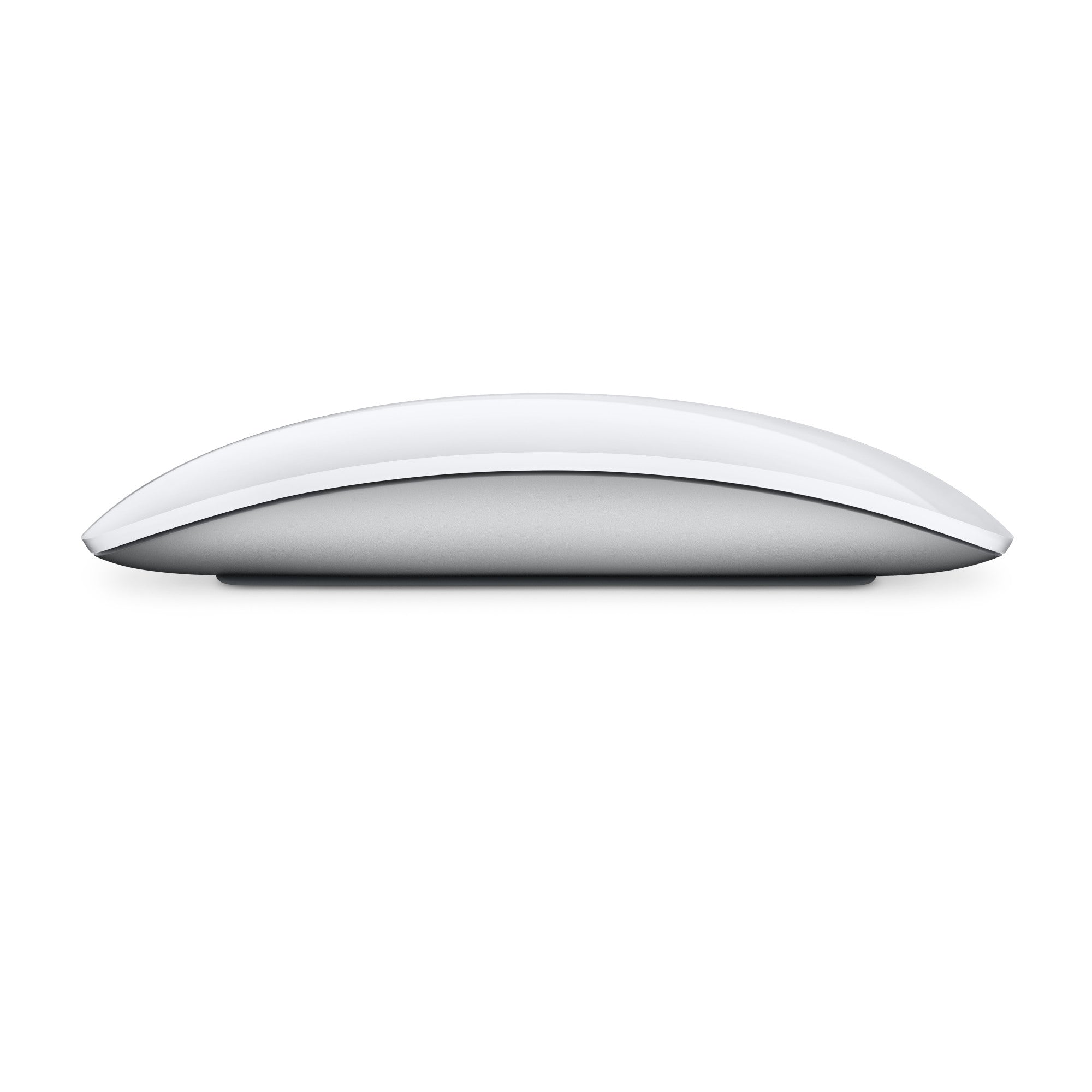 Apple Magic Mouse 2024 - USB-C - Hvid - (MXK53Z/A)