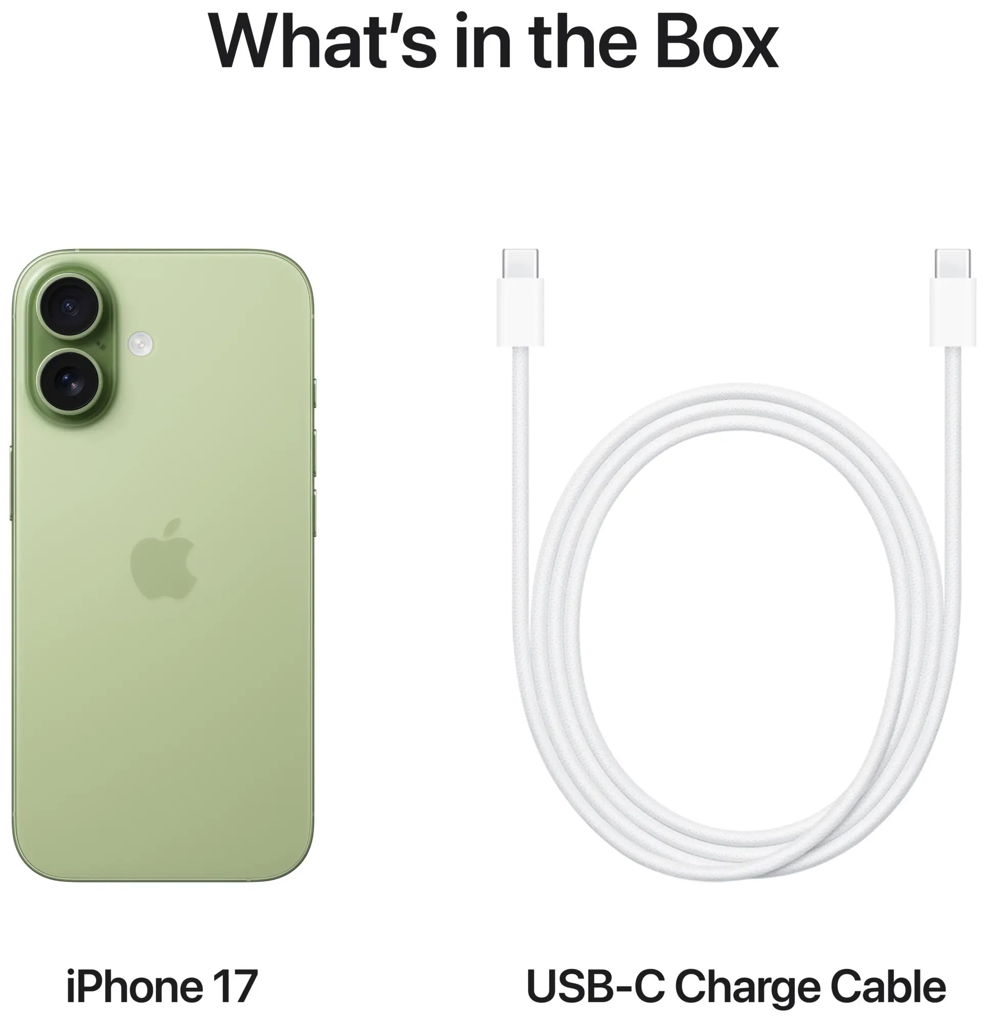 Apple iPhone 17 256GB Salviegrøn - (MG6N4QN/A)