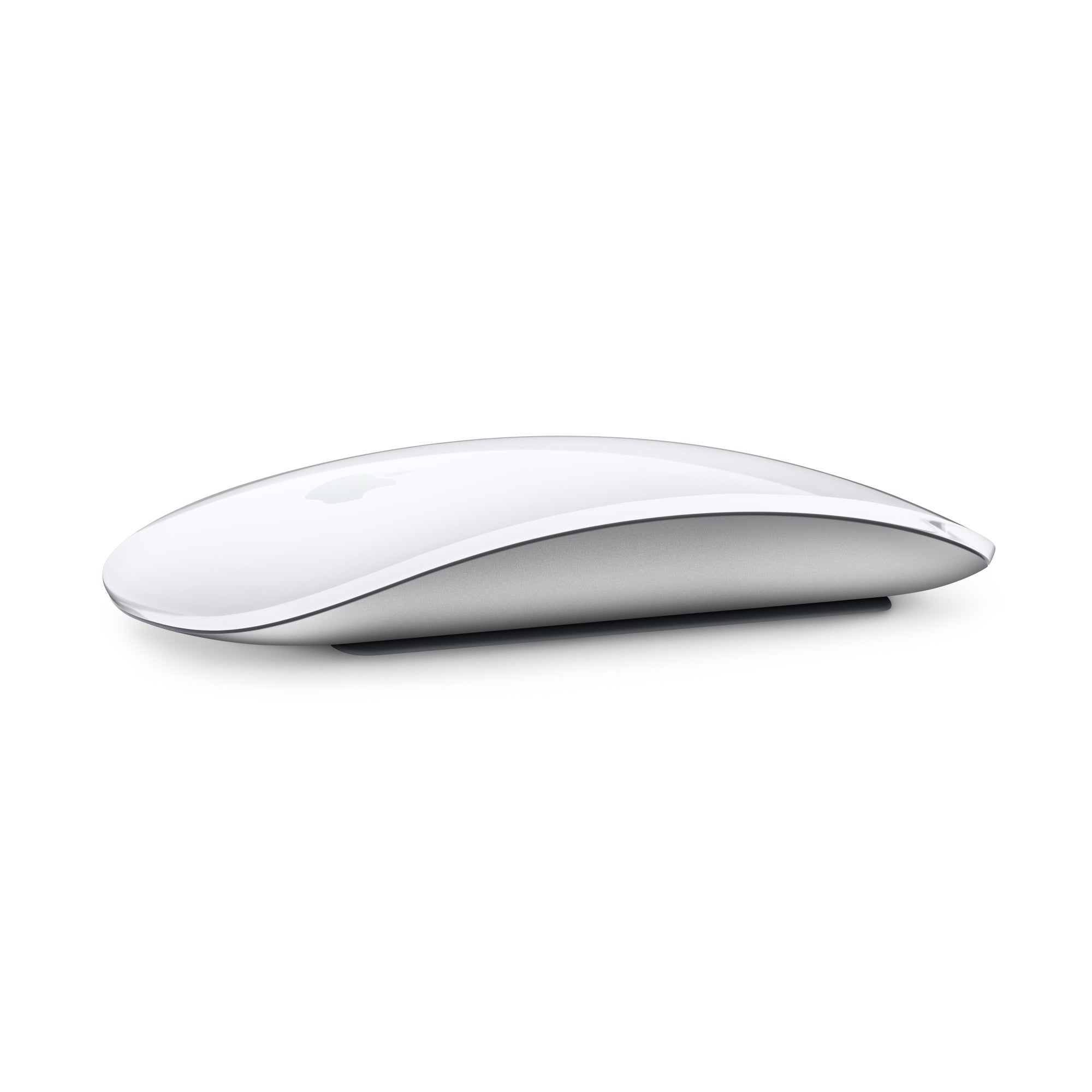 Apple Magic Mouse 2024 - USB-C - Hvid - (MXK53Z/A)